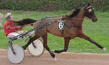 Axel Tilly