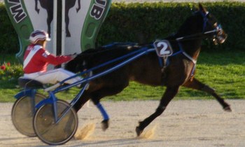 Stenes Jesper