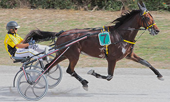 Voici de Lahaye