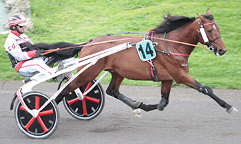 Valoro One