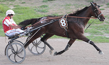 Vito des Landiers