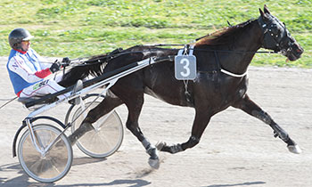 Vizir Carisaie