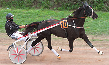 Astro la Bourgee