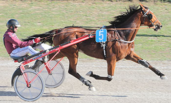 Cesar de Tillard