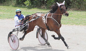 Ylva Swing