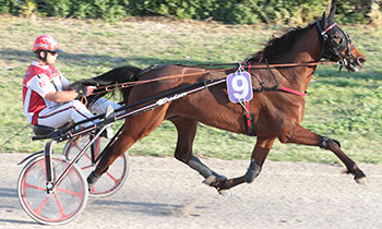 Flicka Derossignol
