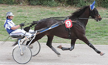 Balthazar Brun
