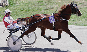 Valencio du Maza