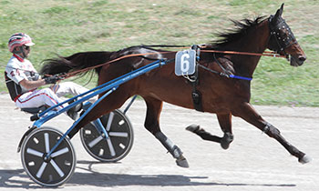 Alf de Melandre