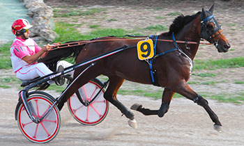Equinoxe Dry