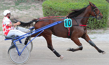 Kaiser Haleryd