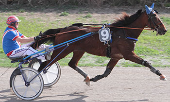 Vivaldi Jet