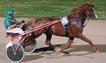Albano Griff