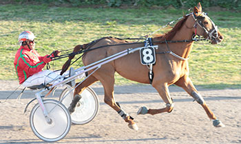 Ali de Saint Marc
