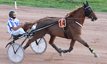 Dollar du Bocage