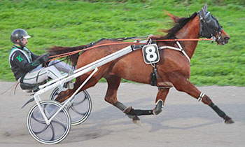 Vicomte d'Havane