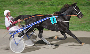 Omay Southwind