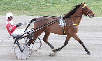 Ulko de Riez
