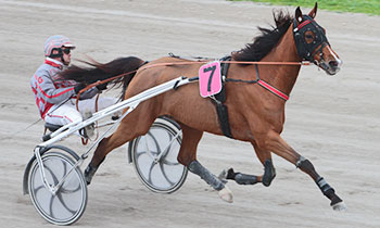 Carlos Mondo Sy
