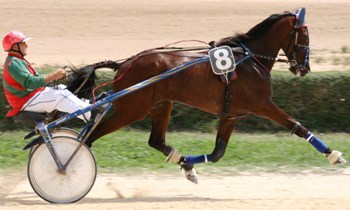 Jacob Seguinel