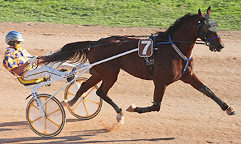 Beau Favori