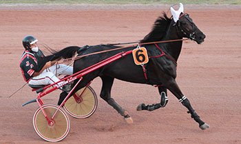 Espoir des Oubeaux