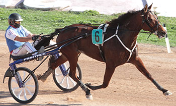 Frankie Brodde
