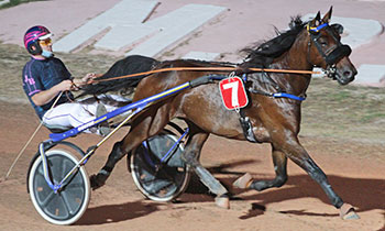 Flirt Fortuna