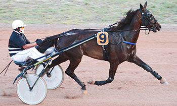 Eros des Tyll