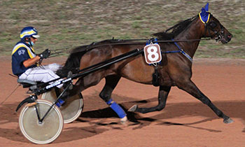 Asterix Hornline