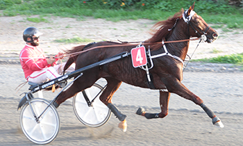 Baxter du Klau