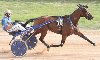 Balou d'Angis