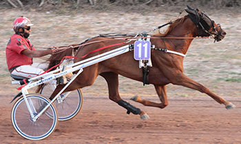 Frederika