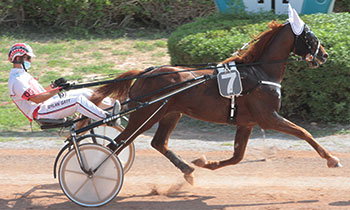 Cooper de Guez