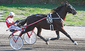 Black de la Vallee