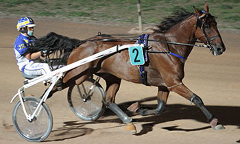 Cyrano d'Huon