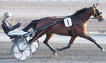 Derby Chevaleraie