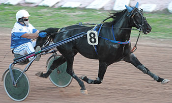 Fastoche Reimois