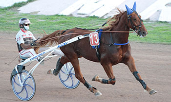 Filou de la Loge