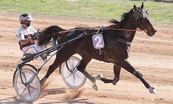 Collins de Bucy