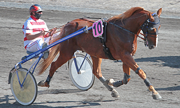 Brosses Troubadour