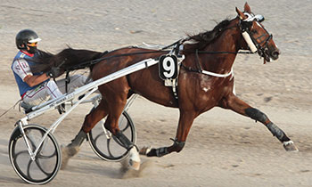 Bijou de Carsi
