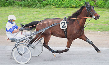 Crack du Tillet