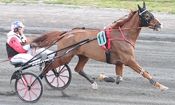 Derby Beconnais