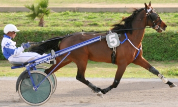 Calvados Kid
