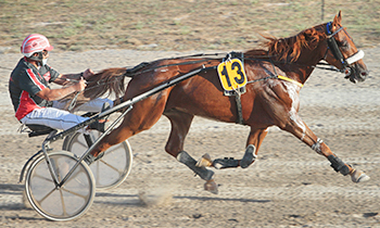 Falcon du Hamel