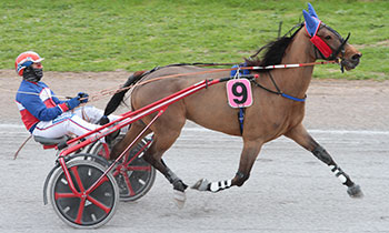 Extra de Crennes