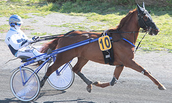 Fast d'Ouville