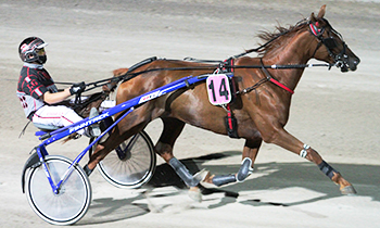 Caline de Femisson