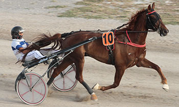 Filou de Bourgogne